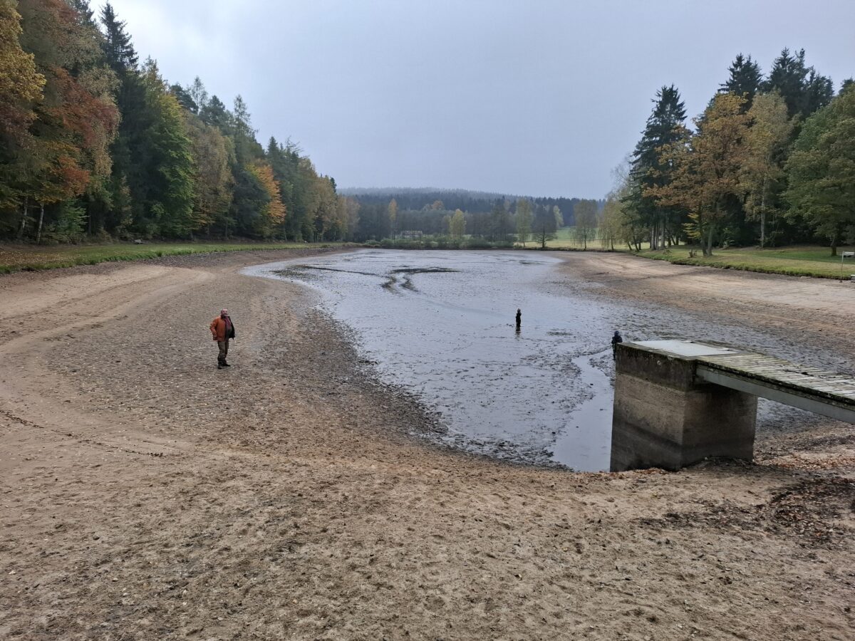 Neue Hebesätze für die Grundsteuer A und B. Bursweiher ein naturnahes Gewässer