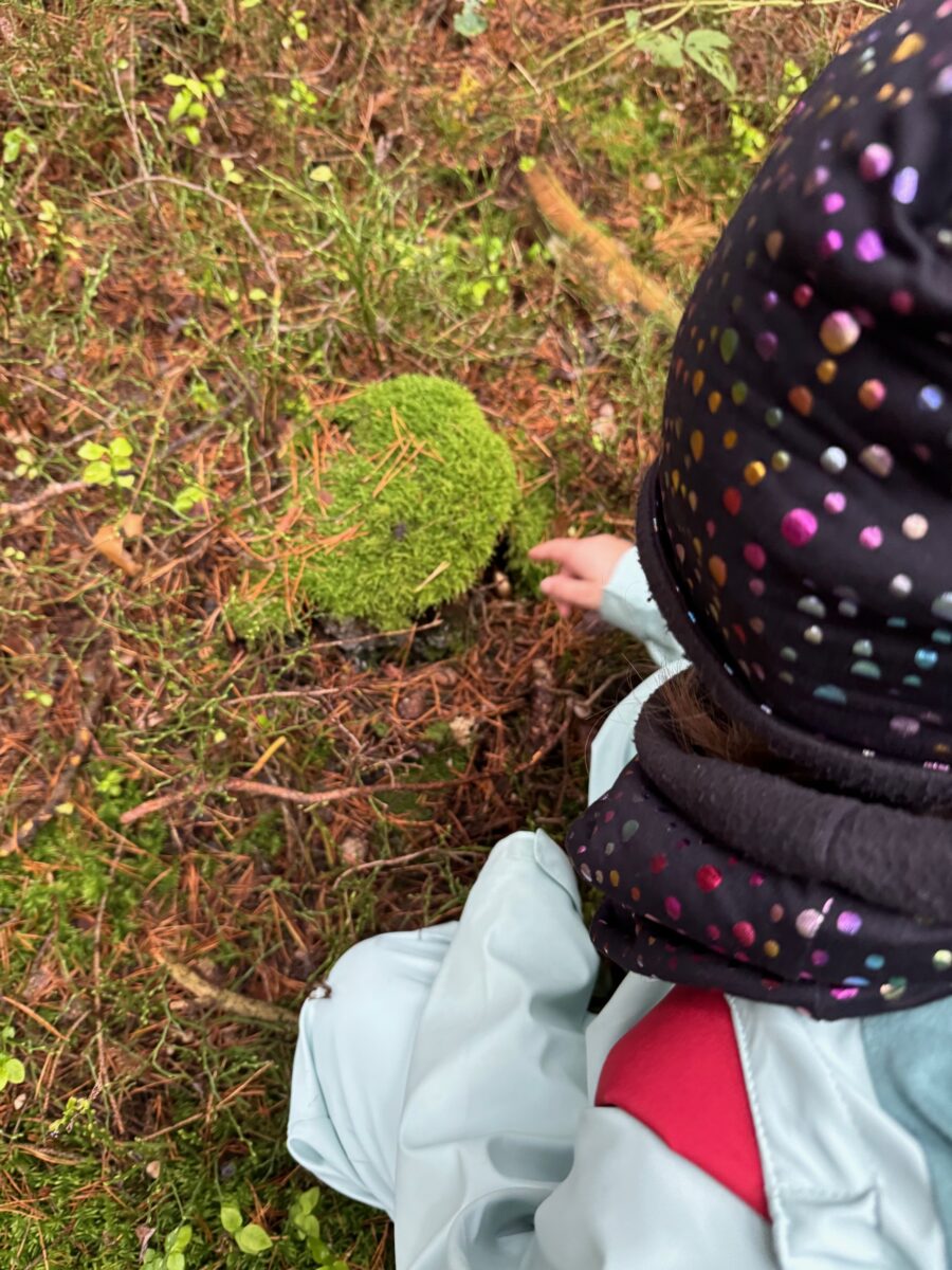 Etzenrichter Schüler erkunden den Wald
