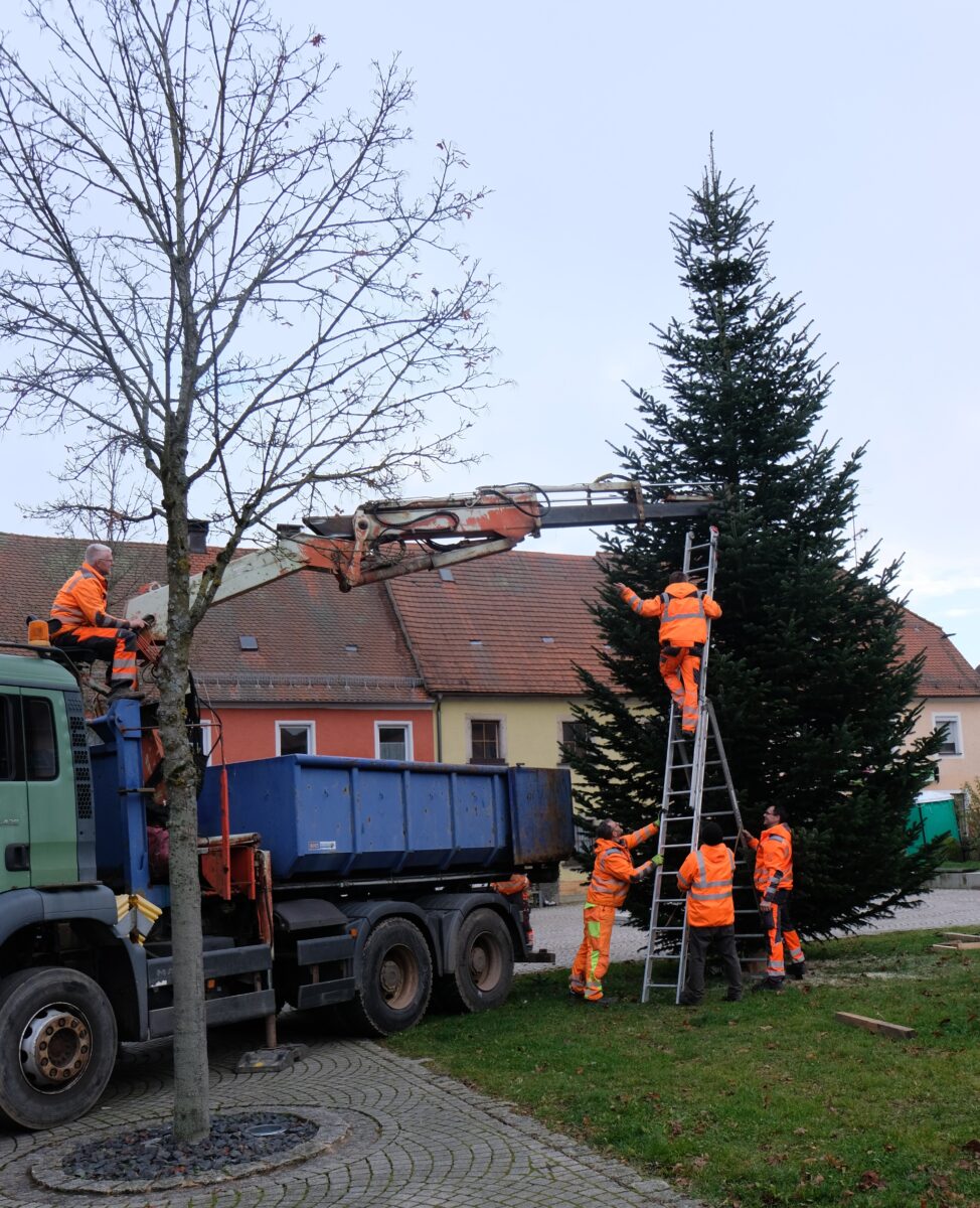 Floß begrüßt Advent mit prachtvollem Christbaum