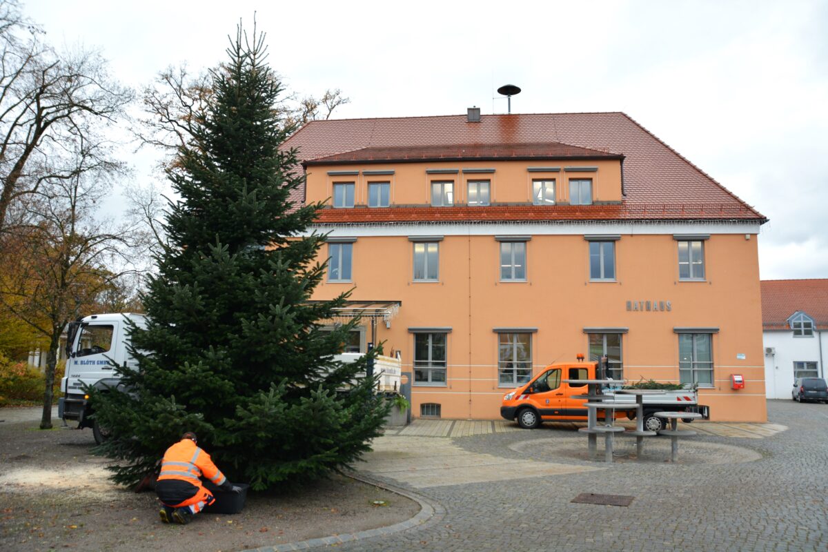 Teublitz begrüßt die Adventszeit mit Christbaumsetup
