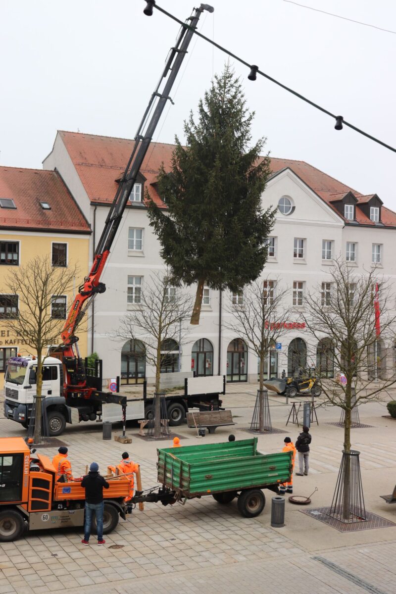 Tirschenreuths Christbaum ziert den oberen Marktplatz