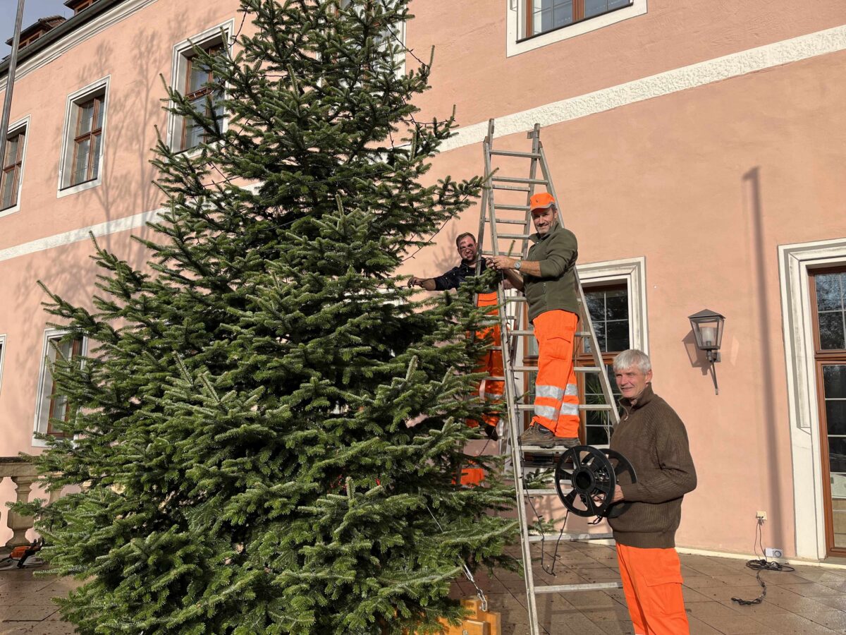 Weihnachtsbaum schmückt jetzt das Landratsamt Amberg-Sulzbach