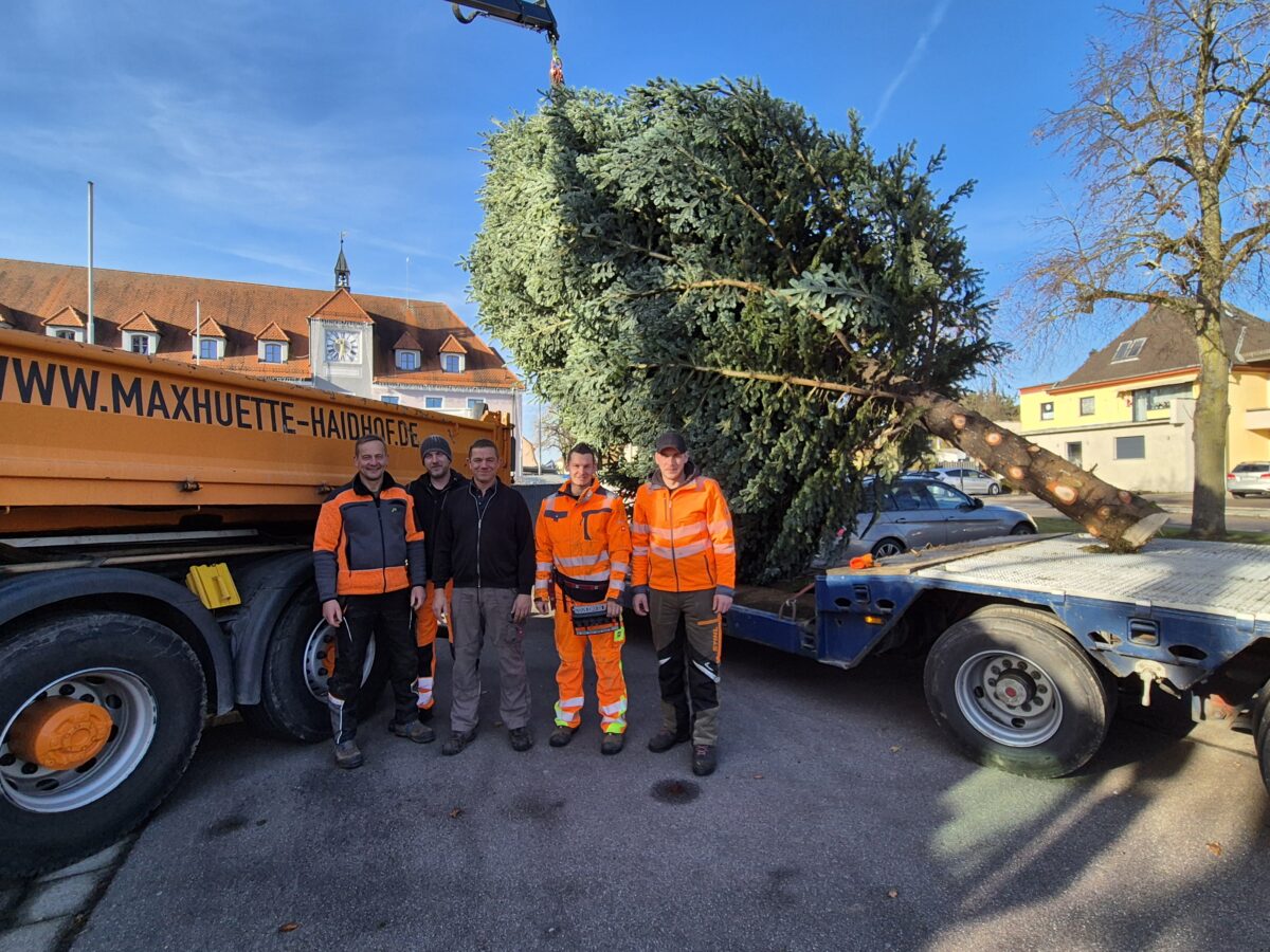 Weihnachtszauber in Maxhütte-Haidhof mit gespendeten Christbäumen
