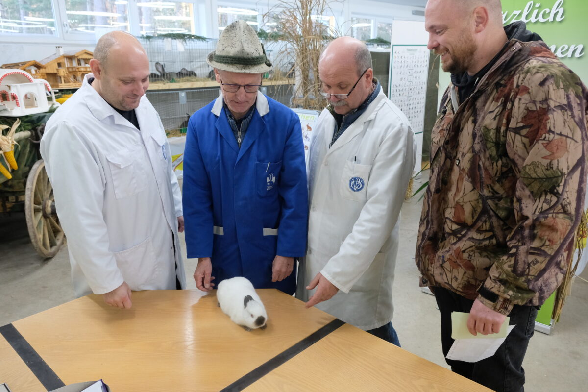 Eschenbachs Kleintierschau: Triumph der Züchtungen
