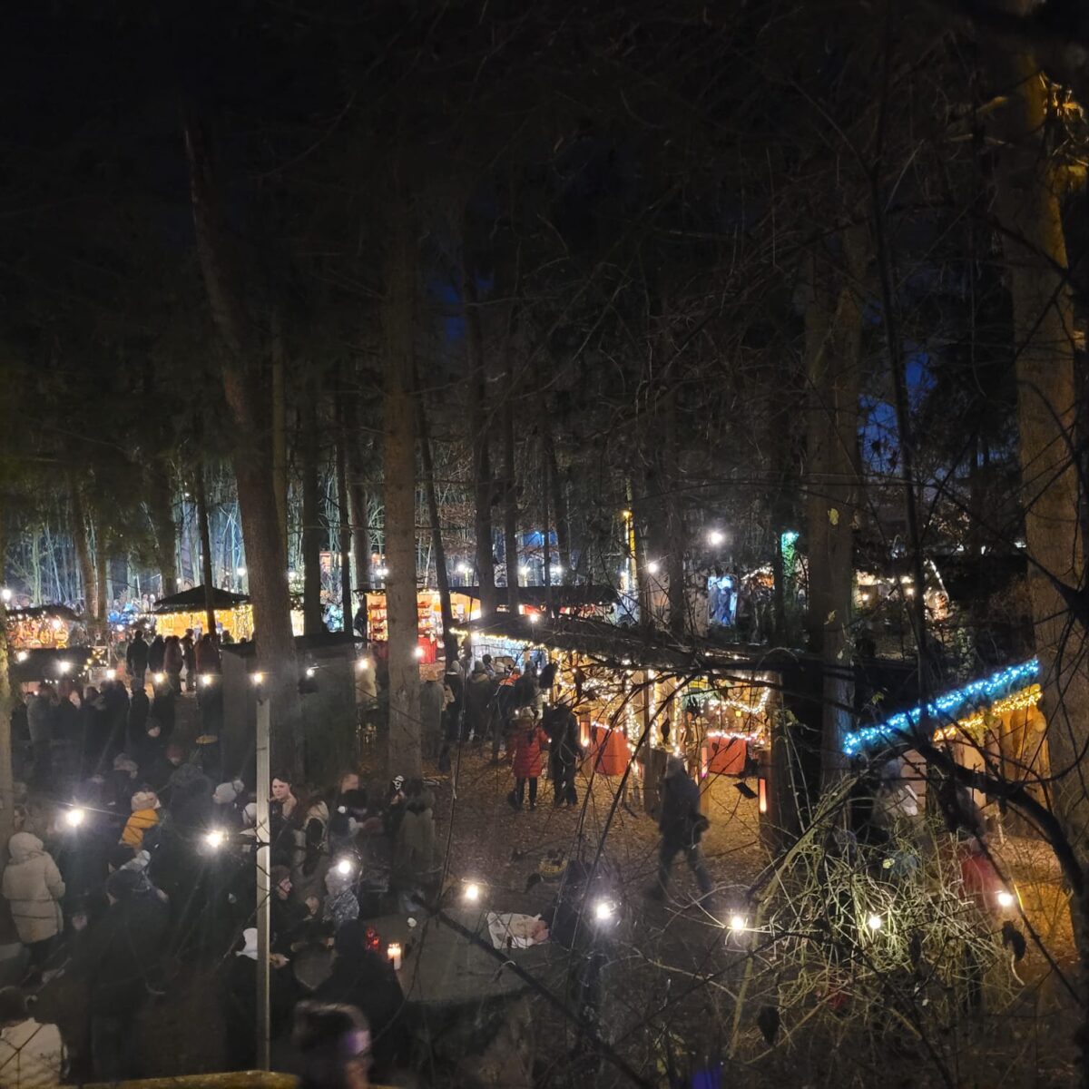 Magdeburger Anschlag auf Christkindlmarkt: Bub mit Verwandtschaft in Floß unter Opfern