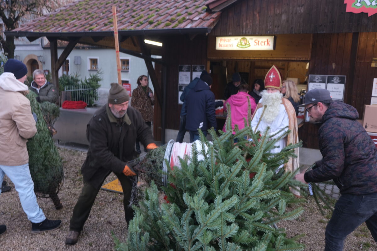 Christbaumverkauf des Lions Club feiert 31. Erfolgsjahr
