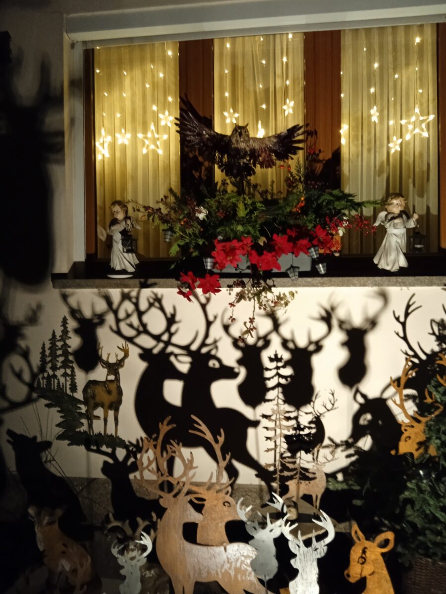 Märchenzauber in Floß: Ein Garten voll Licht und Frieden