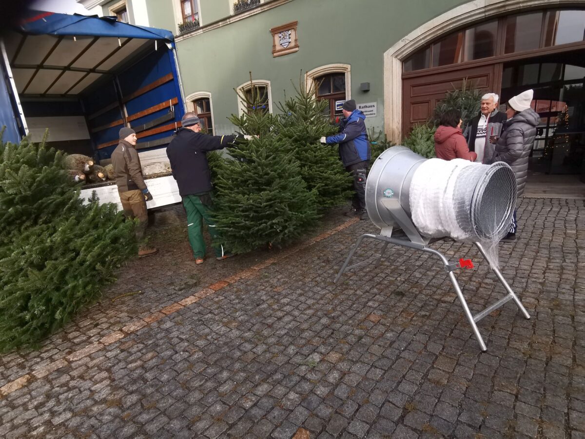 Fischereiverein versorgt Eslarn und Umgebung mit Christbäumen