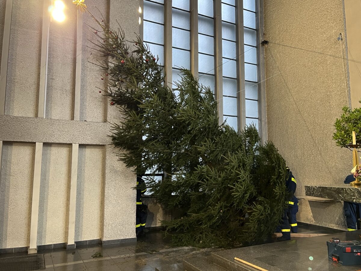 Weiden: THW bringt Tannenbaum zu St. Elisabeth