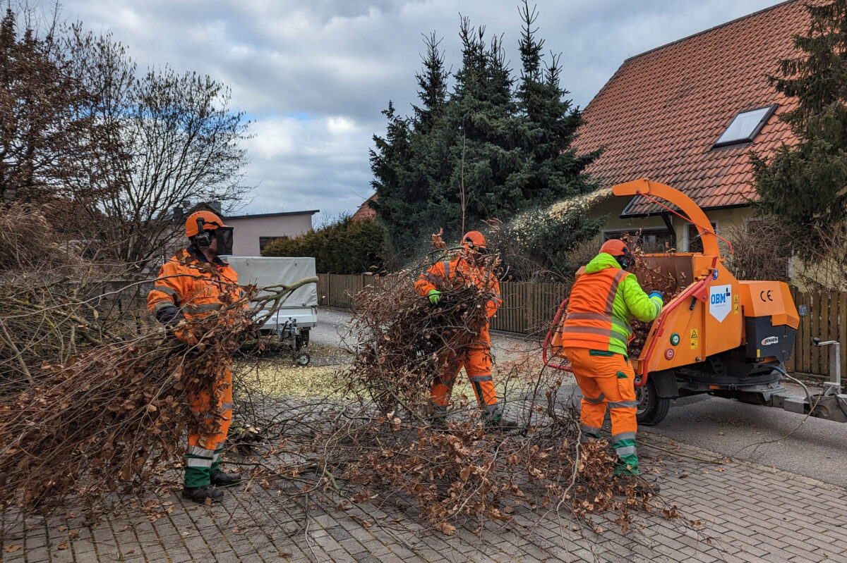 Häckselaktion in Amberg: Anmeldung jetzt möglich