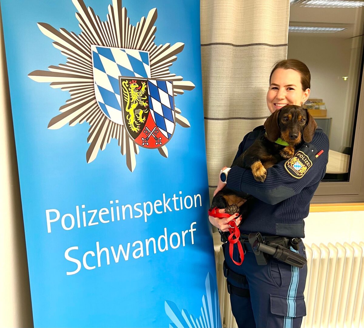 Dackeldame Frieda geht auf Entdeckungstour