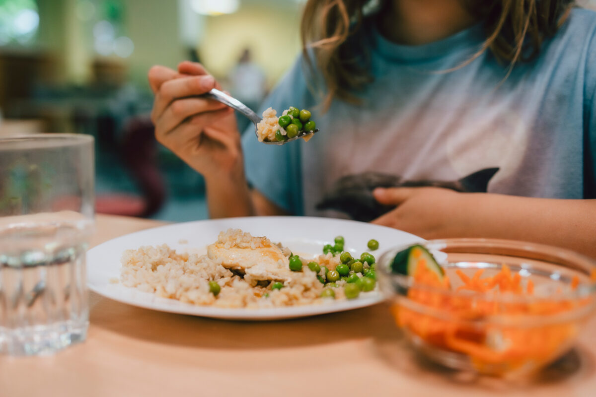 Gratis-Mittagessen für alle Kinder: NGG appelliert an Parteien