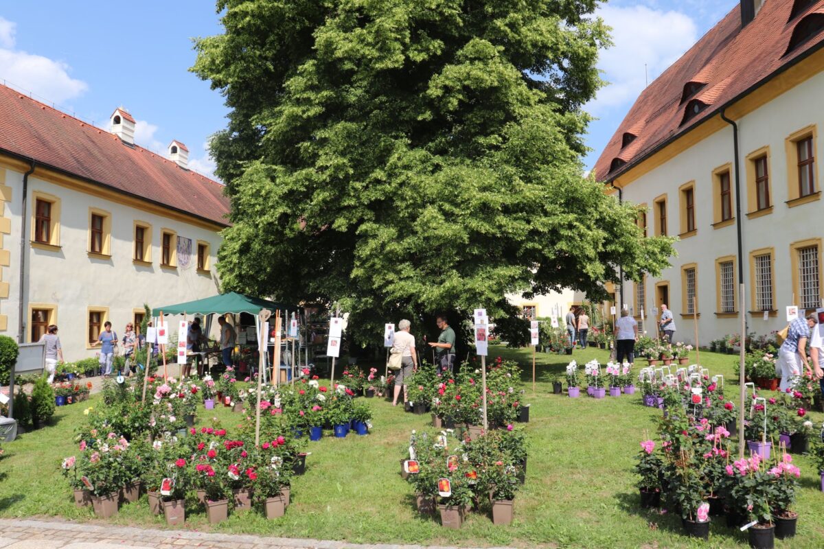 Tirschenreuth präsentiert Fischhofpark-Events für 2025