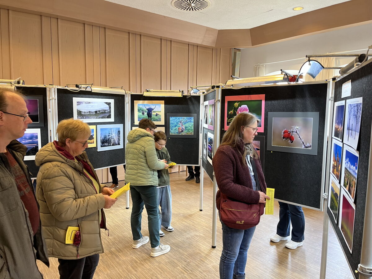 Bilder aus dem Übungsplatz und aller Welt