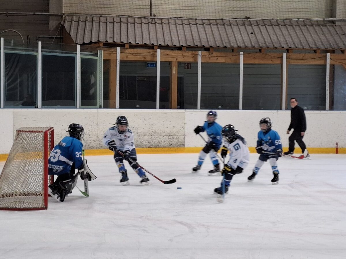 Eishockeynachwuchs der Blue Devils Weiden  spielt Titel ein