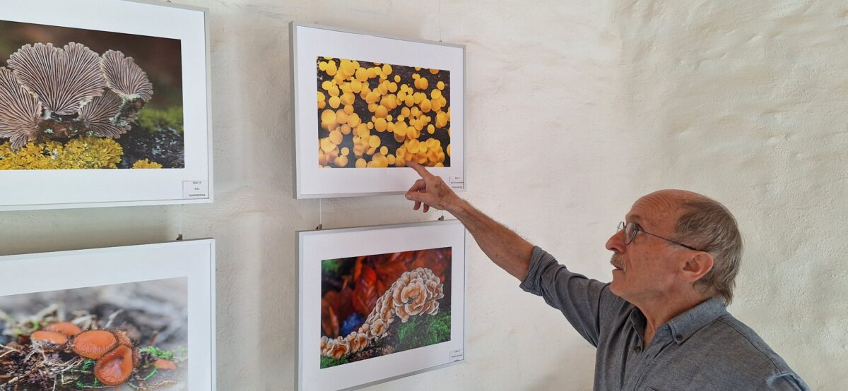 Erfolgreiche Ausstellung „Fotowelten“ in Erbendorf lockte zahlreiche Kunstinteressierte