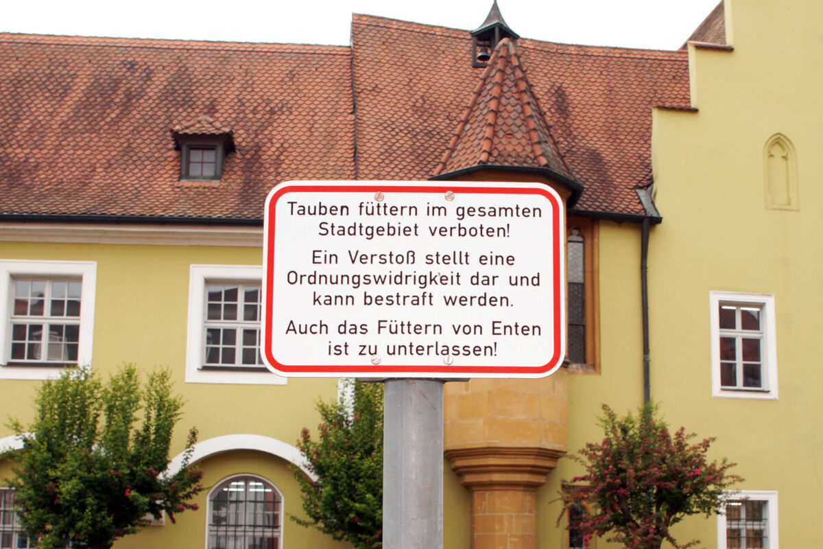 Amberg erinnert: Taubenfüttern ist verboten