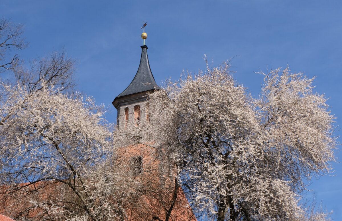 Blütenpracht umrankt St. Johannes Baptista Kirche