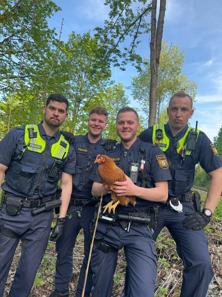 Polizeibeamte retten Huhn neben Bahngleis