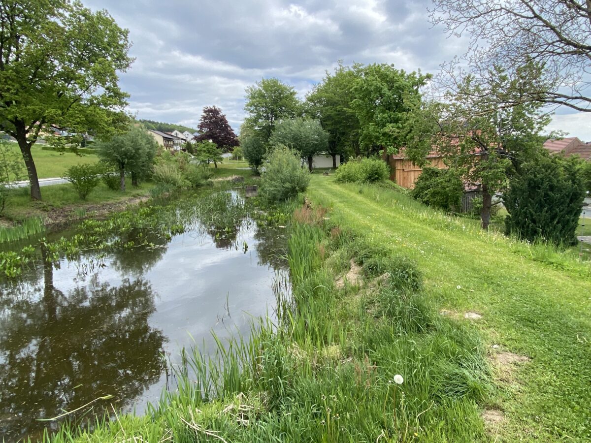 Noch keine Lösung für den „Brauweiher“