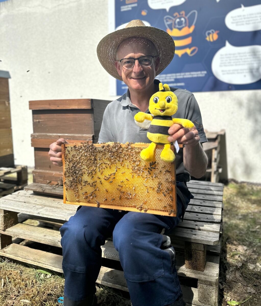 Stadtwerke Amberg fördern Bienen für Umwelt und Gesundheit