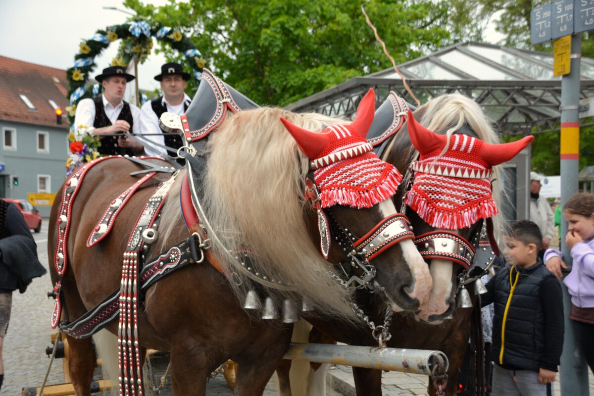Teublitzer Volksfest 2025 lockt mit Achterbahn und namhaften Bands