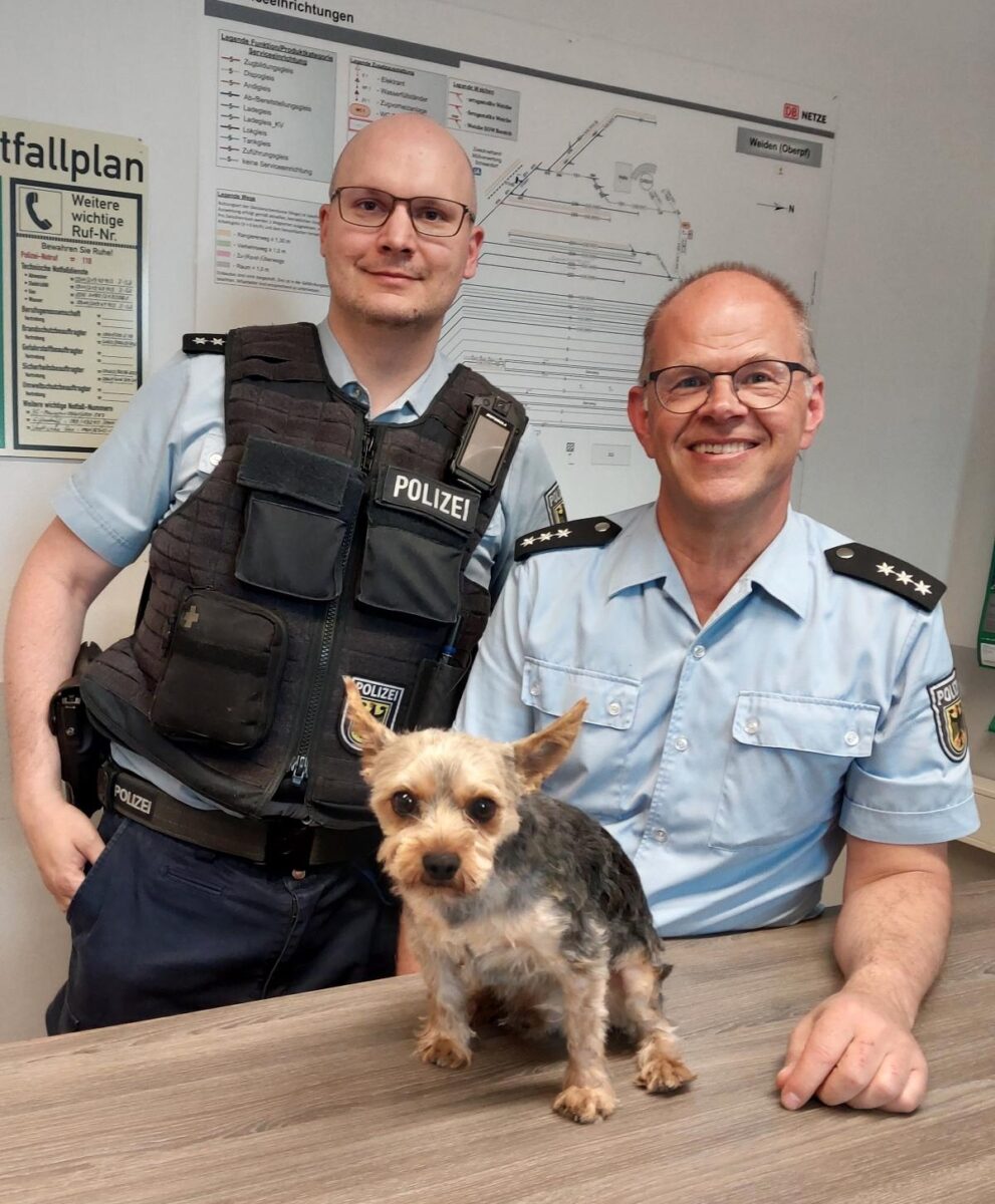 Yorkshire Terrier büxt am Weidener Bahnhof aus – folgt eine Karriere als Polizeihund?