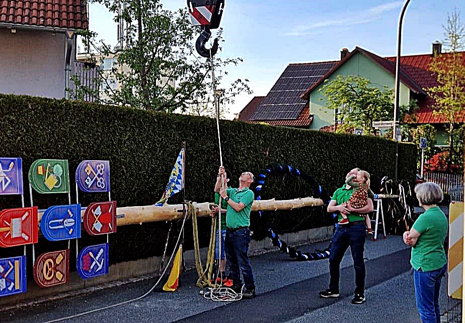 Maibaum 2025 steht – Gemeinschaftsaktion in Weiden-West