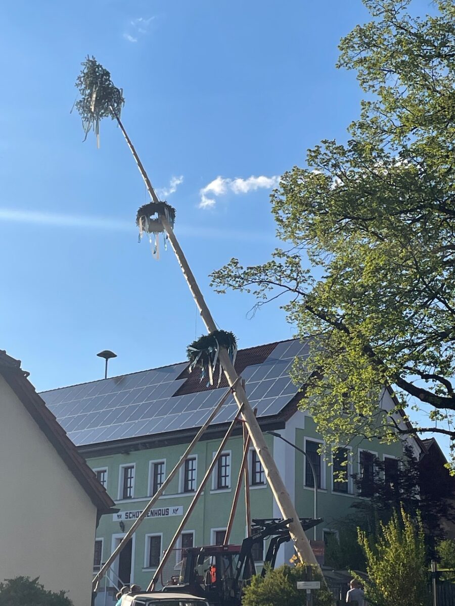 Trausnitzer entführen den Maibaum aus Döllnitz