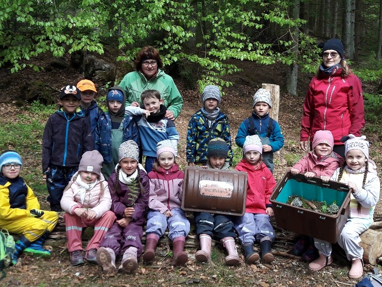 Kinder entdecken den Zauber des Waldes