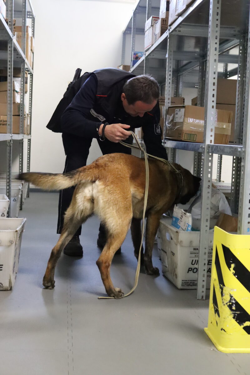 Postkontrolle am Truppenübungsplatz: Spürhunde und Röntgengerät im Einsatz