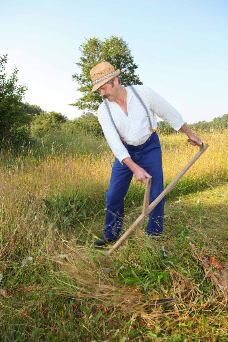 Mit der Sense durchs Gras – Lehrgang in Senkendorf