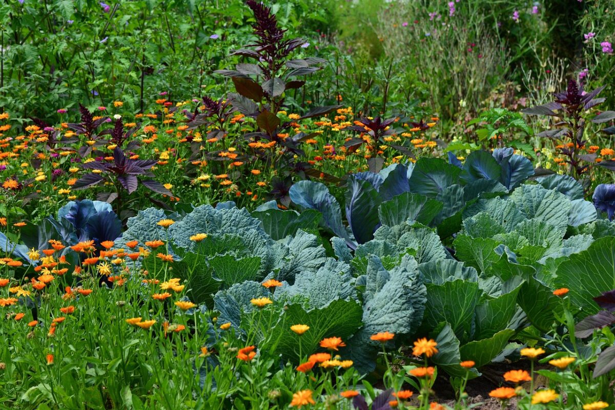 Blühende Paradiese im Landkreis Tirschenreuth