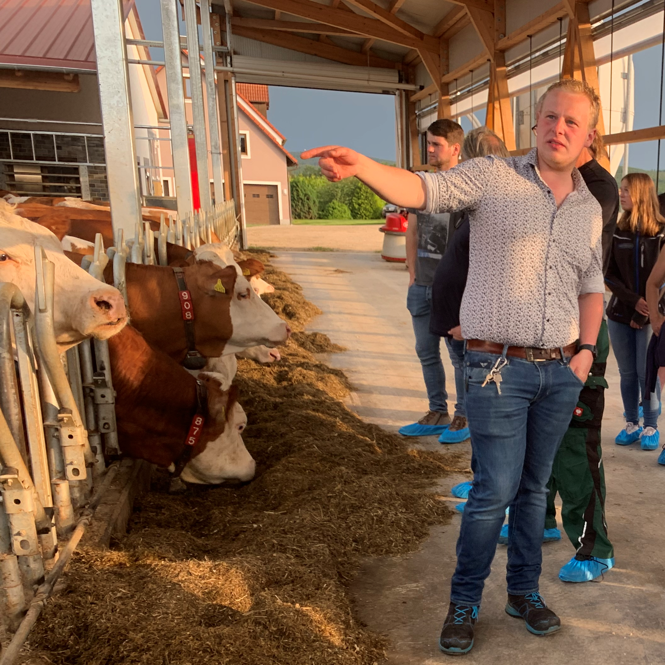 Innovation fürs Tierwohl: So kümmert sich Familie Kick in Moosbach um ihre Kühe