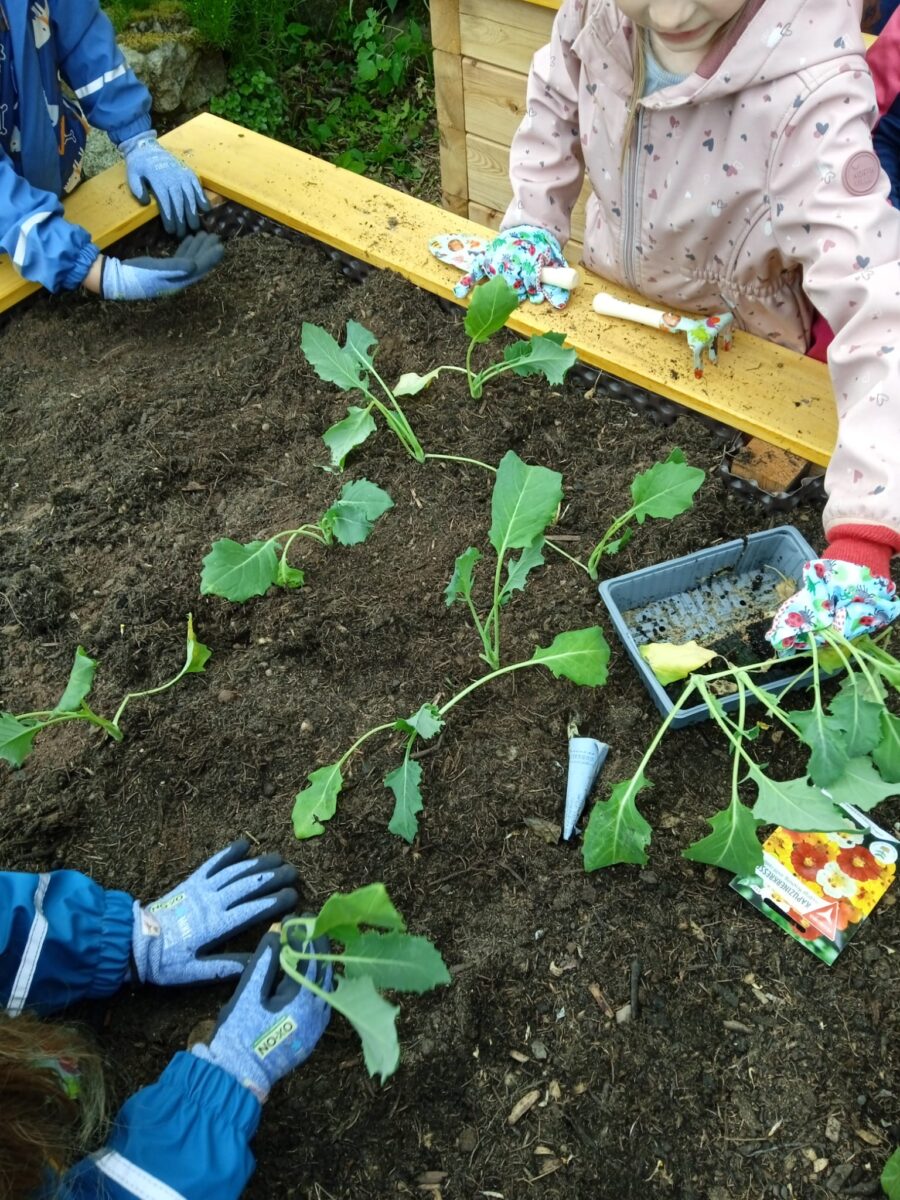 Kräutergartenkids begeistern in Schnaittenbach