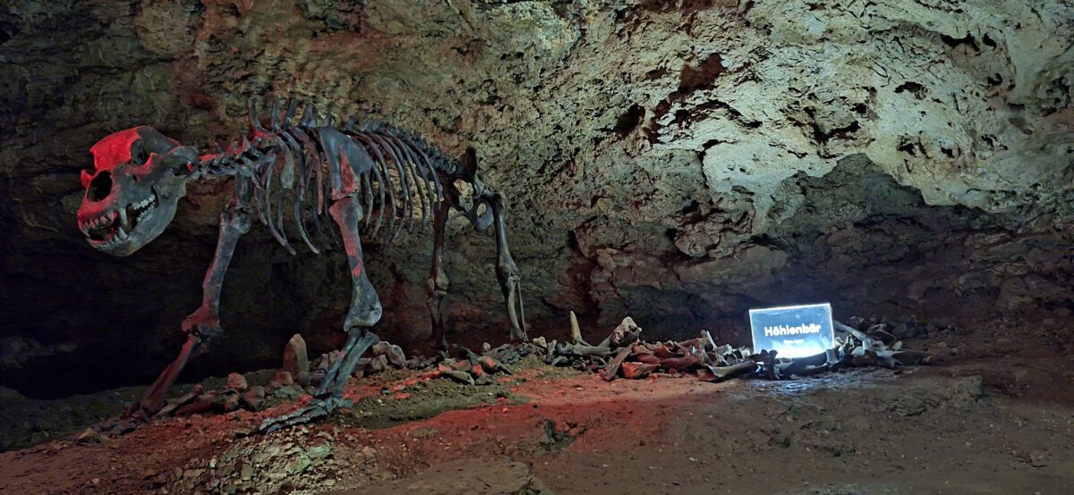 Schüler erkunden Tropfsteinhöhle in Pottenstein