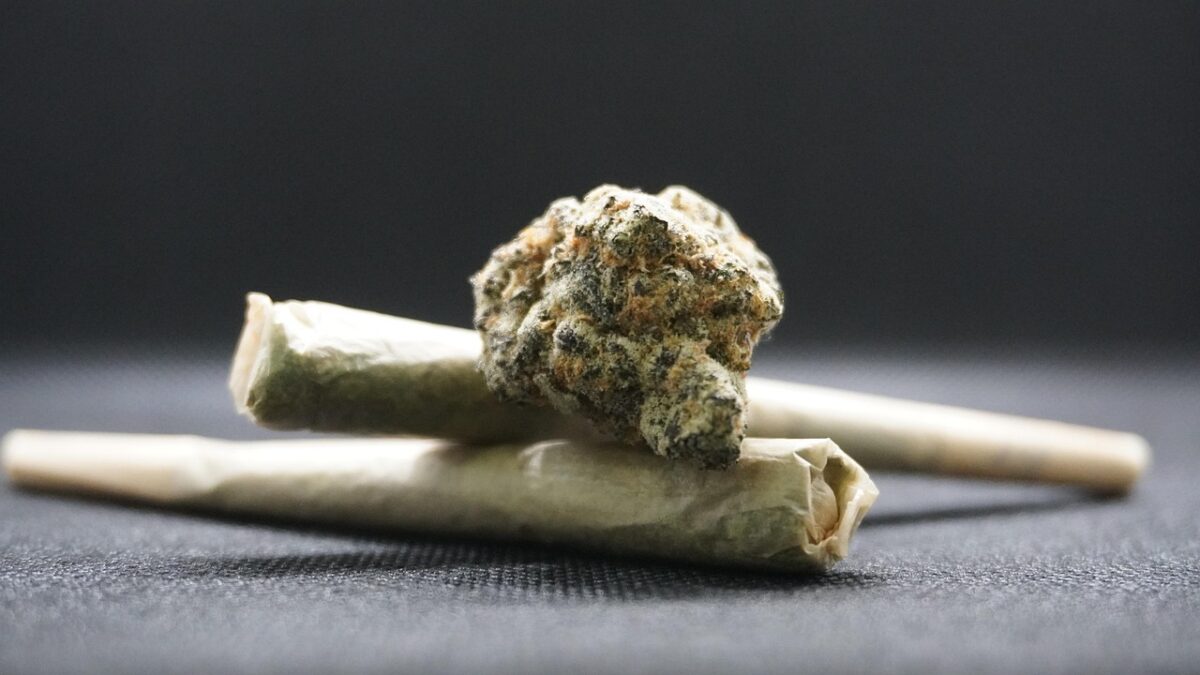 Oberpfalz erhält ersten legalen Cannabis Social Club