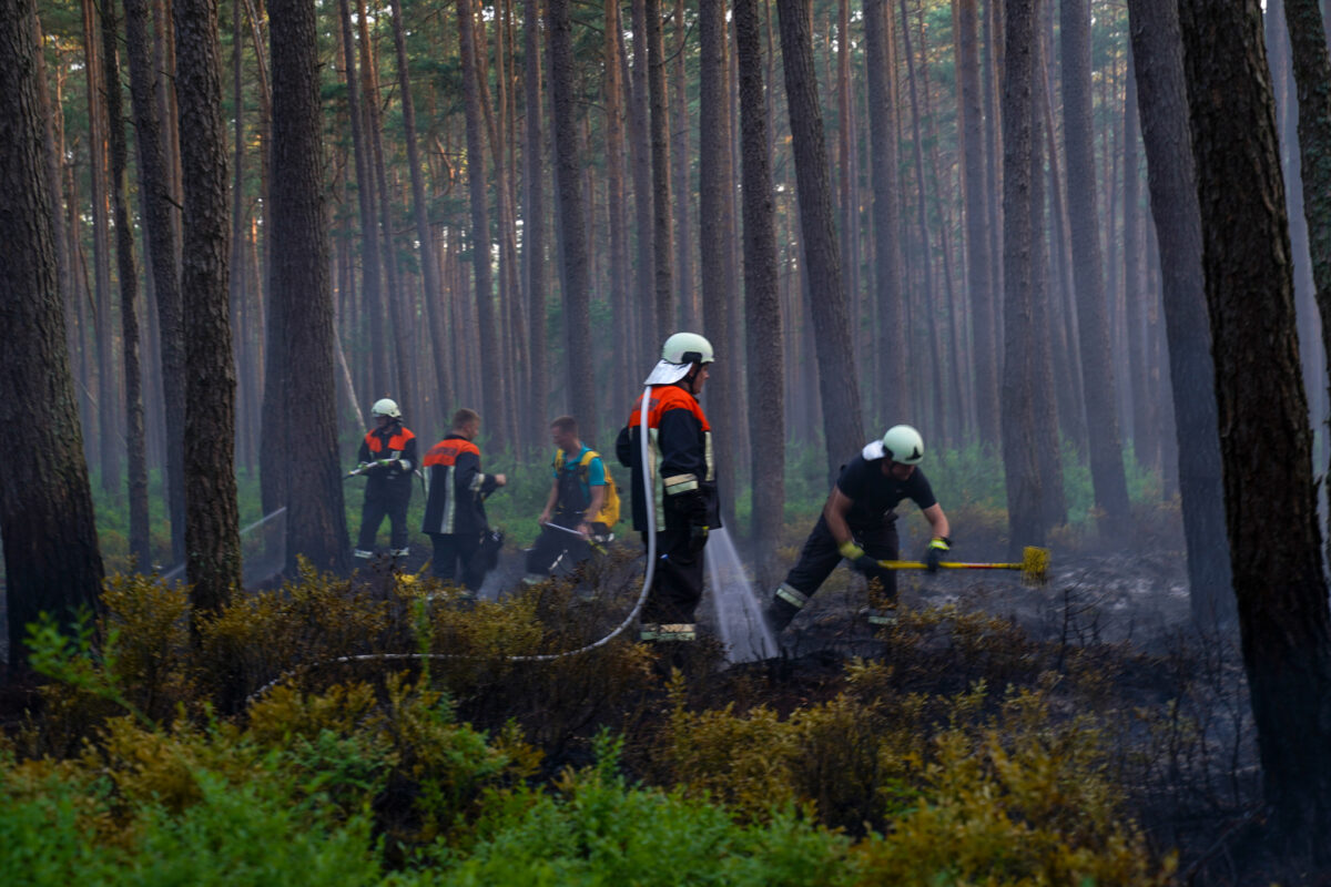 Vom Rettungshubschrauber entdeckt: Waldbrand nahe Schnaittenbach sorgt für Großeinsatz