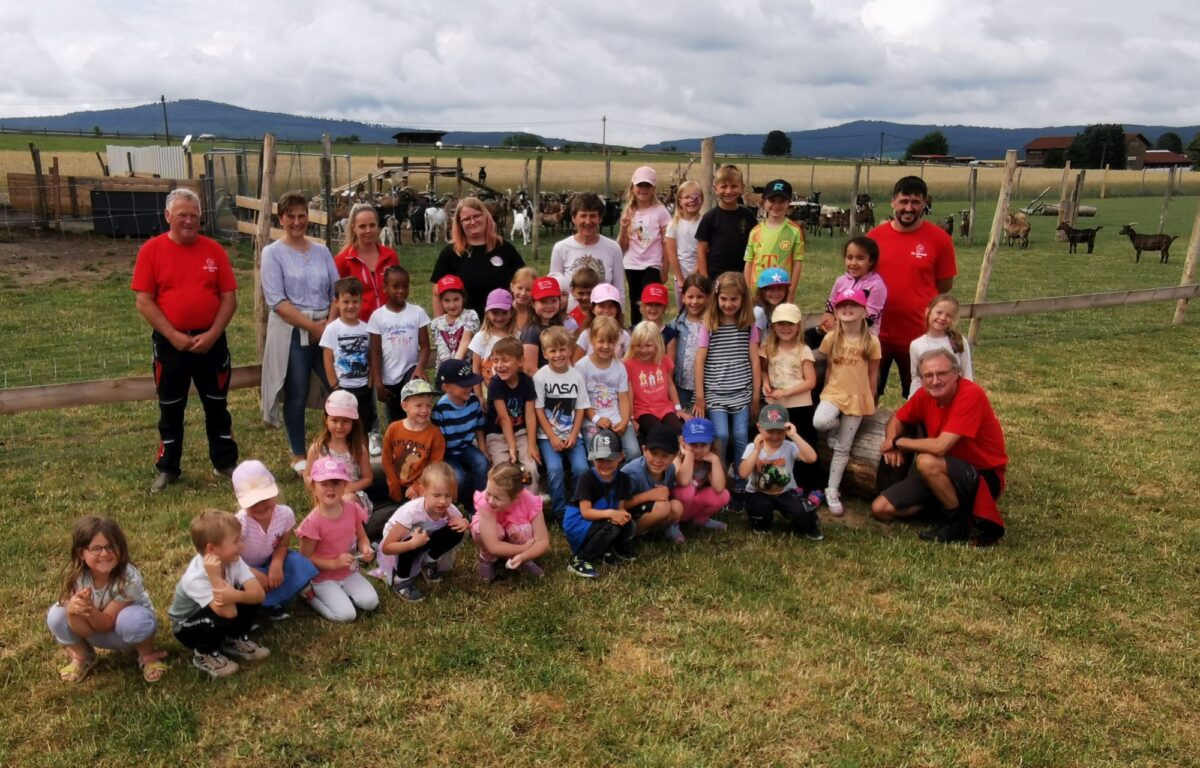 Eslarner Kindergarten erkundet Gut Aiderbichl
