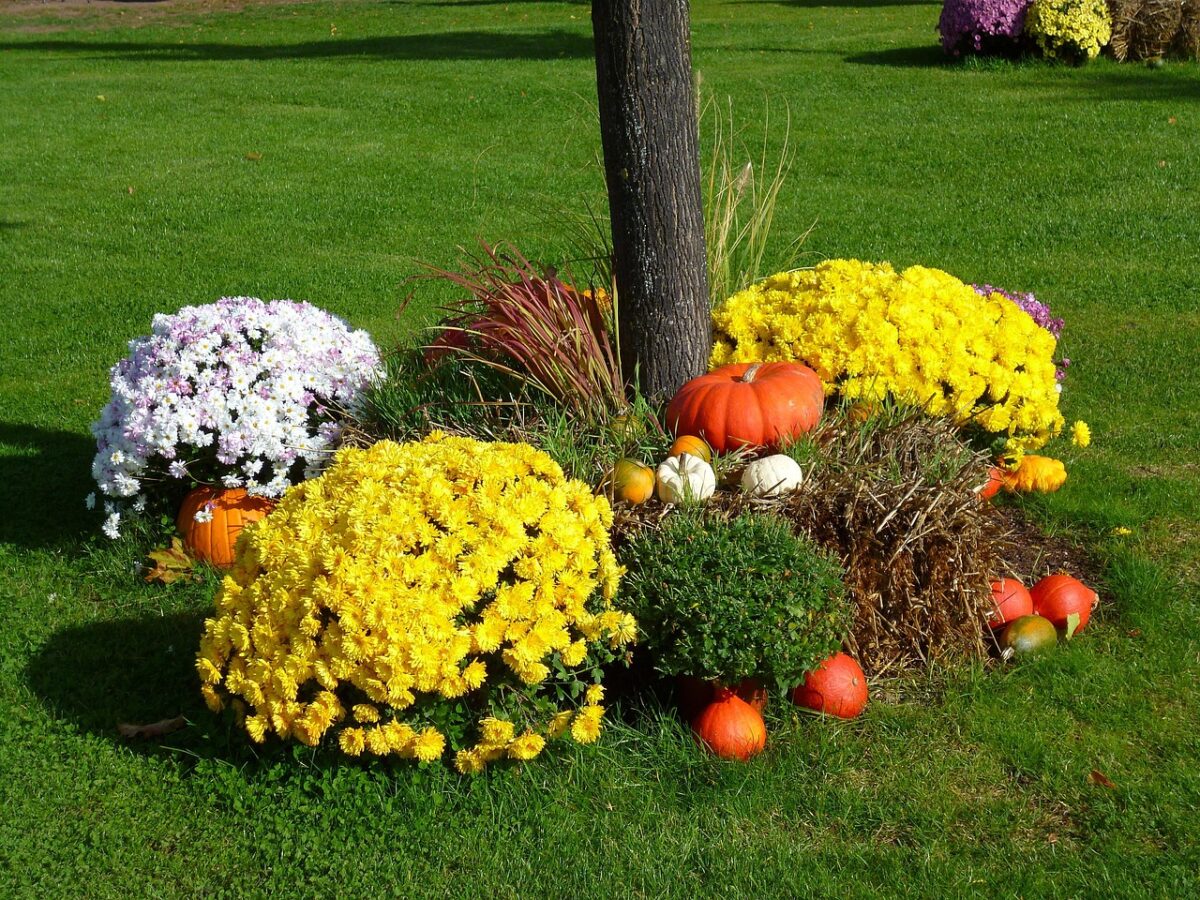 OGV Kemnath lädt zur Landesgartenschau und Hohen Bogen ein