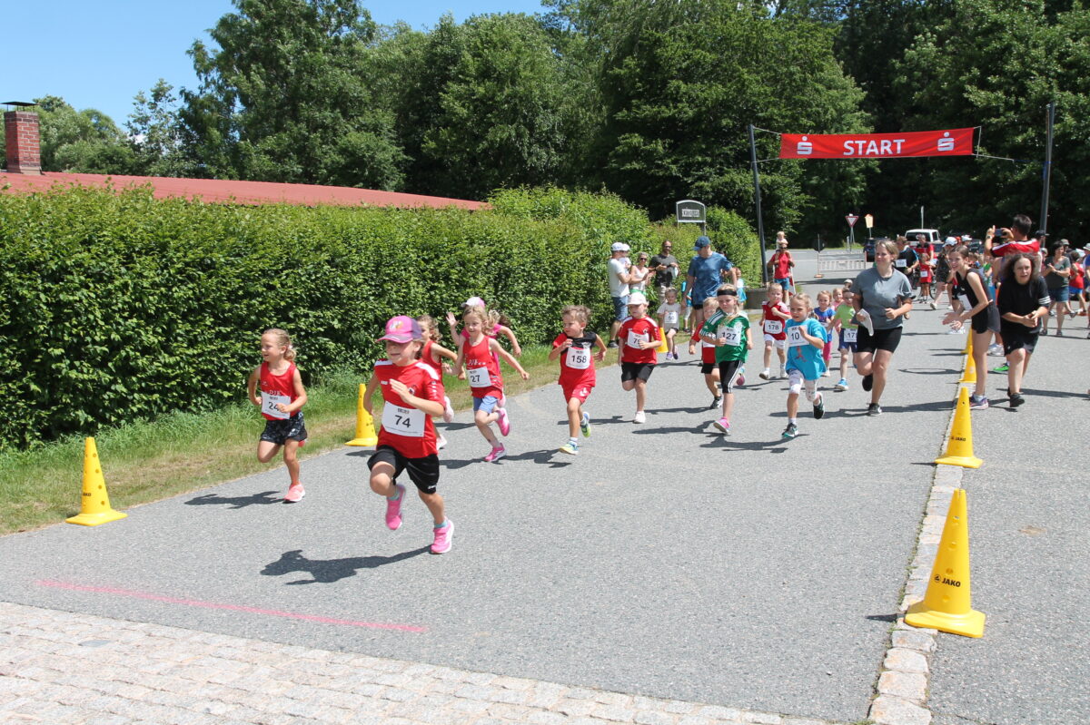 Pleysteiner Stadtlauf lockte mit Idealbedingungen und tollen Leistungen
