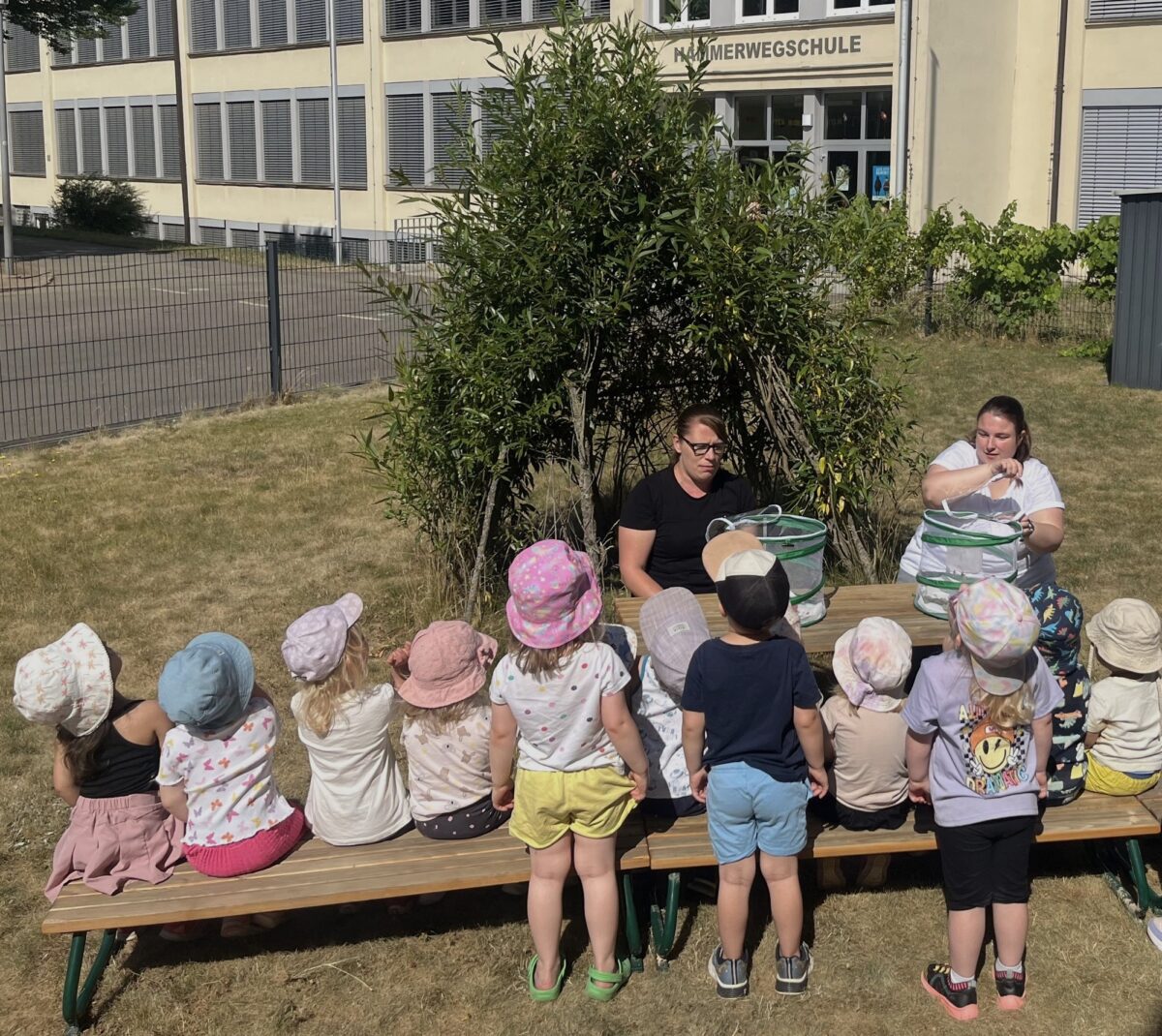 Weidener Krippe züchtet Schmetterlinge und Marienkäfer