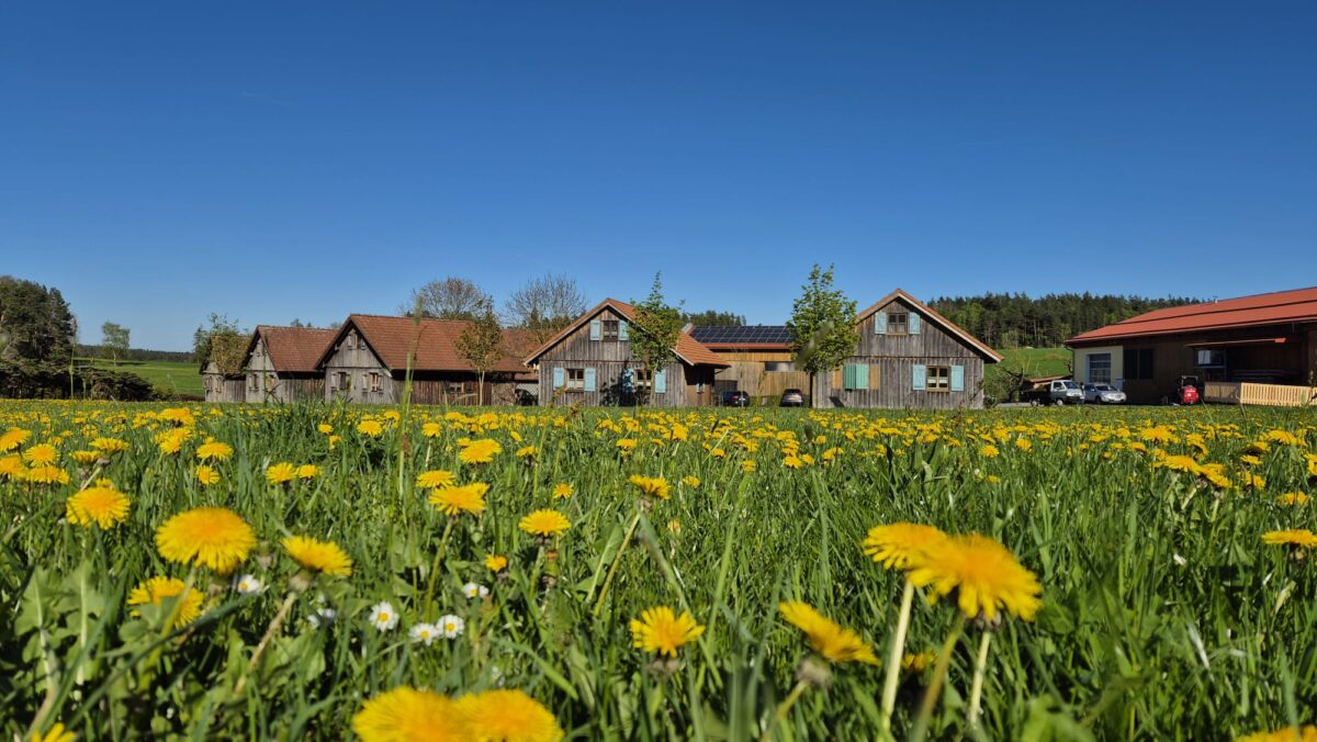 Bauernhof statt Hotel: Urlaubstrend in der Oberpfalz