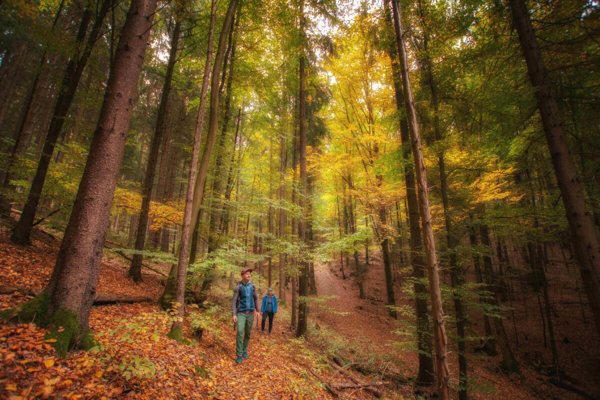 Herbstwandern im Amberg-Sulzbacher Land