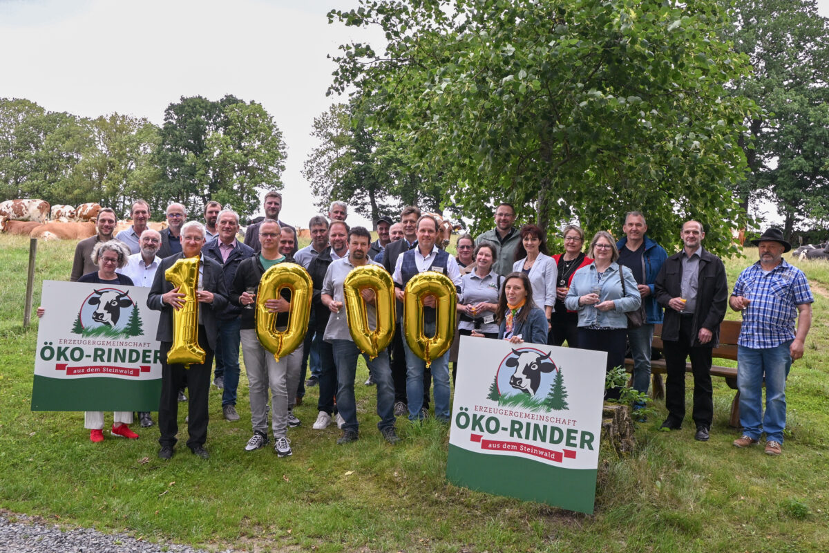 1000. Bio-Rind aus dem Steinwald – Erzeugergemeinschaft feiert Meilenstein