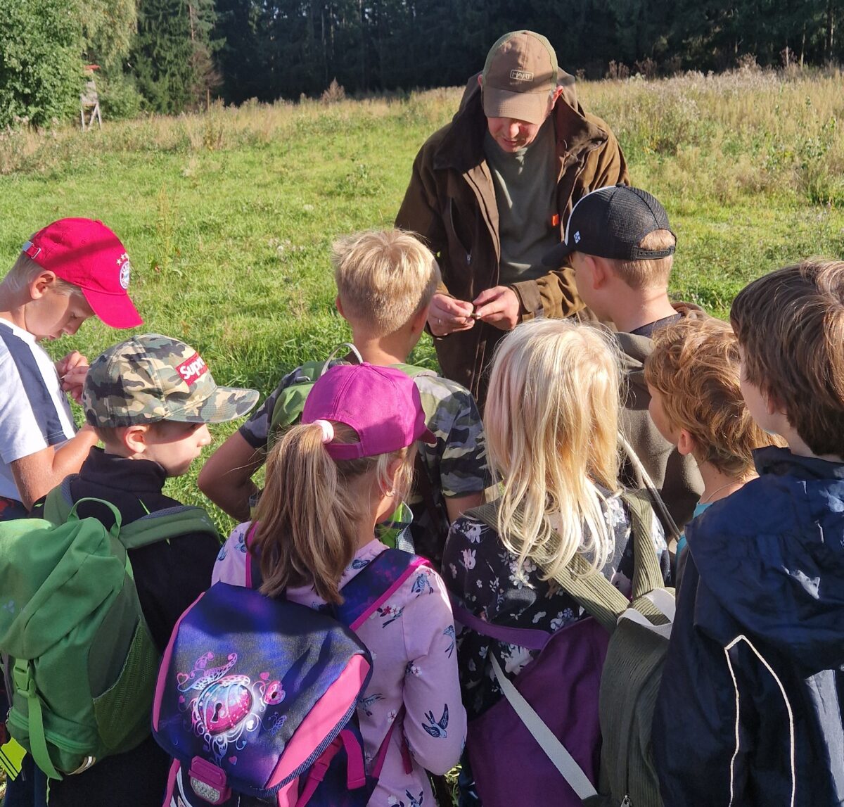 Exkursion durch den Wald