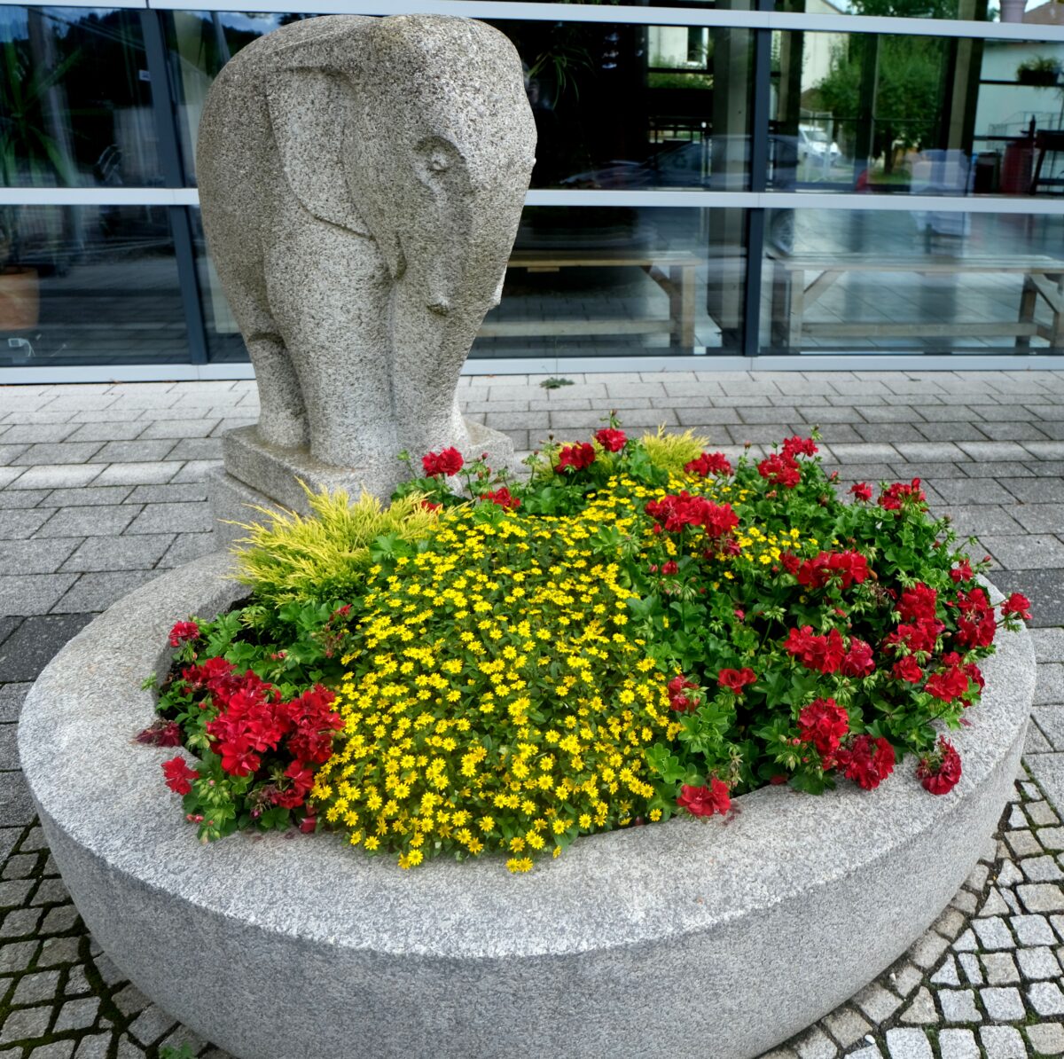 Floßer Zentralschulhaus feiert 70 Jahre