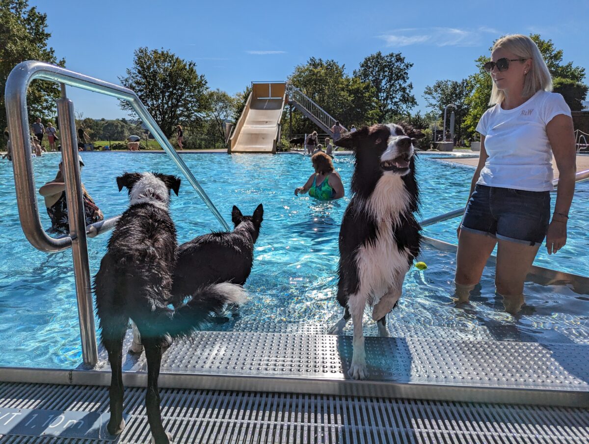 Zweites Hundeschwimmen am 15. September von 16 bis 19 Uhr