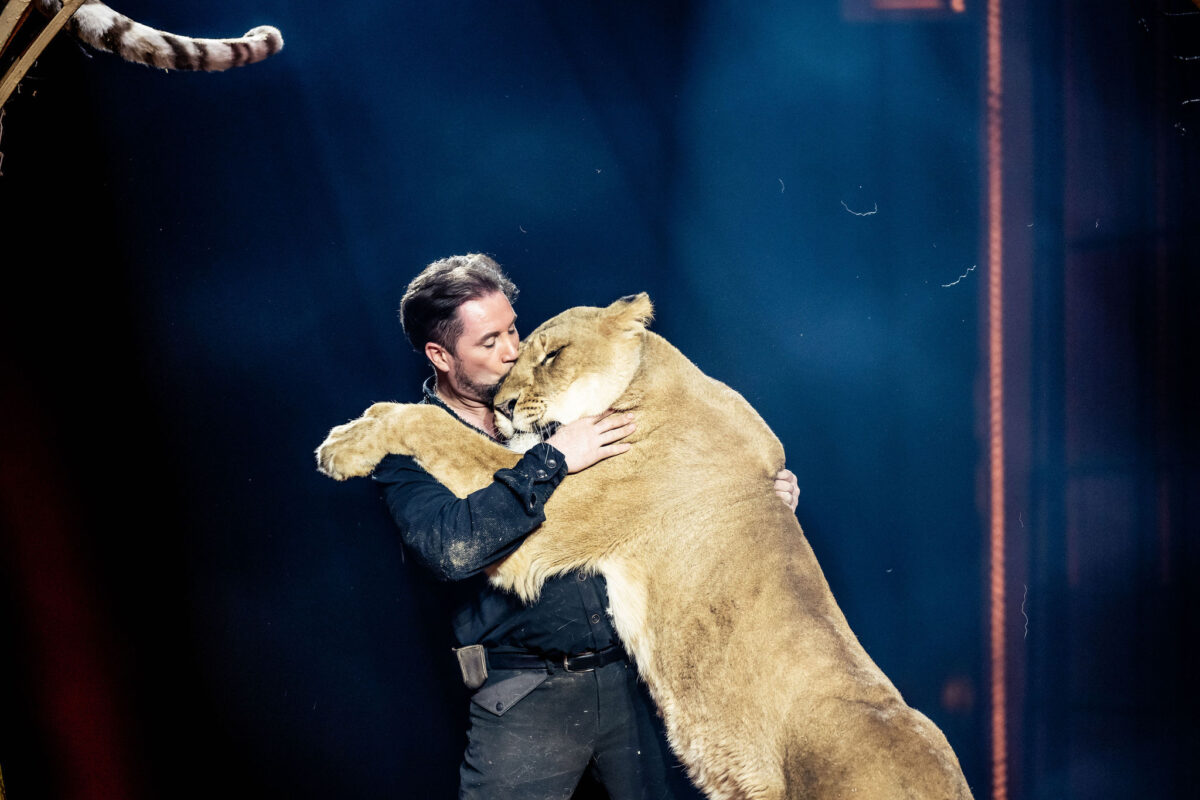 Circus Krone gastiert in Amberg und Regensburg – „Farbenspiel – Gold Edition“