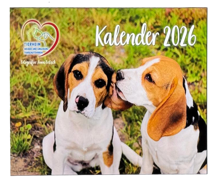 Tierschutzverein stemmt Millionenprojekt erfolgreich – Kalender 2026 jetzt erhältlich